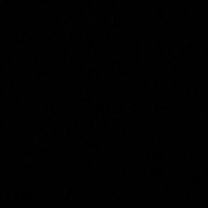 Meet your Posher, Josey